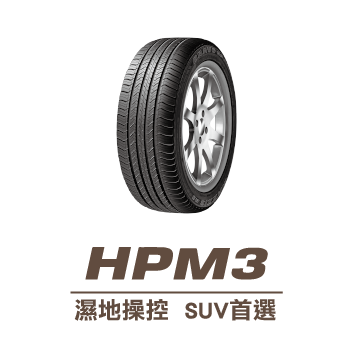 HPM3